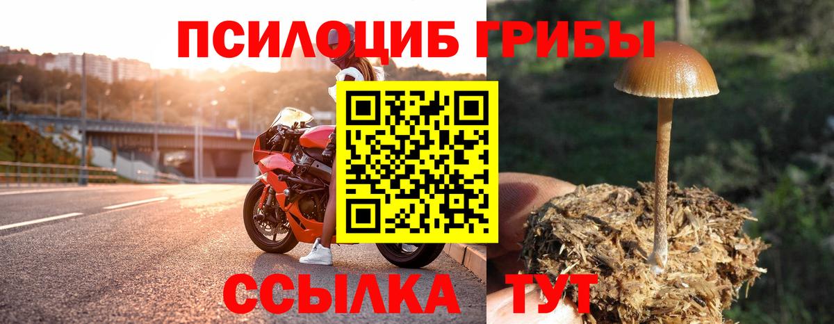 Галлюциногенные грибы GOLDEN TEACHER Архангельск
