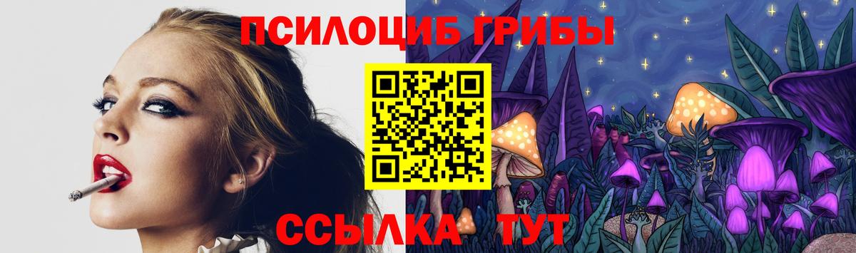 Псилоцибиновые грибы Cubensis  Вход с VPN  цена   Псилоцибиновые грибы ЛСД  Архангельск 